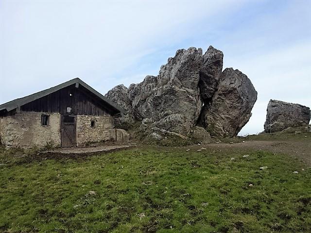 אפרטהוטל פלינטסבאך Gasthof Falkenstein - Metzgerei Schwaiger - מראה חיצוני תמונה